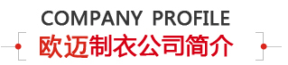 雅美制衣公司简介